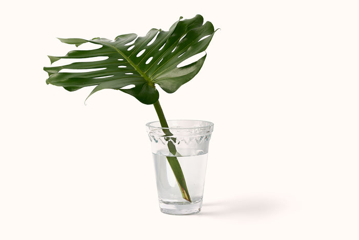 BERGS POTTER GLASS KØBENHAVNER VASE 15