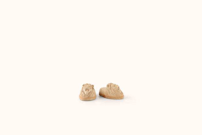 BERGS POTTER ROSA TERRACOTTA LIONS HEAD PLANTER FOOT