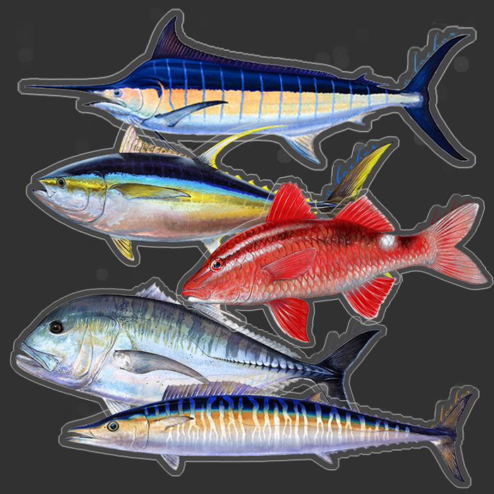 Hawaii sticker combo pack (SP)