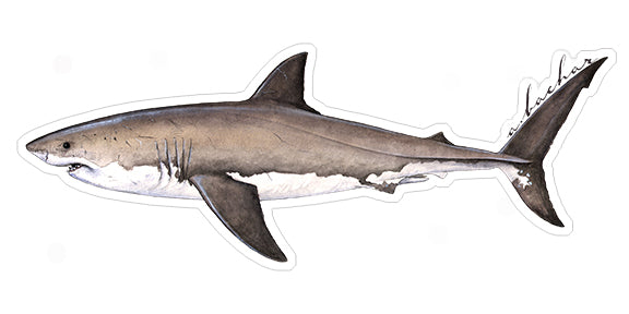 Mini Great White Shark Stickers (Pack of 5)