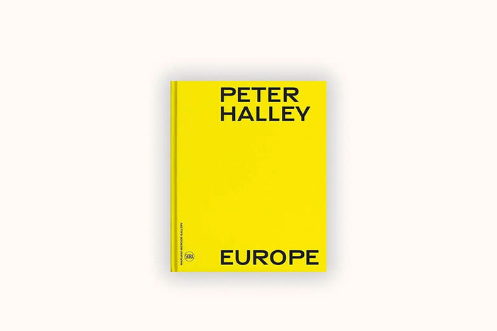 PETER HALLEY: EUROPE BY DOMITILLE D'ORGEVAL