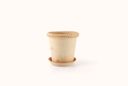 BERGS POTTER ROSA EMILIA TERRACOTTA POT W/SAUCER