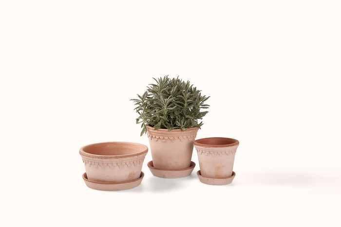 BERGS POTTER ROSA KØBENHAVNER TERRACOTTA POT W/SAUCER