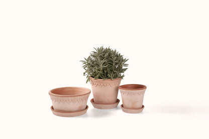 BERGS POTTER ROSA KØBENHAVNER TERRACOTTA POT W/SAUCER