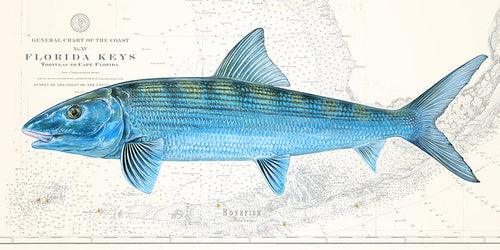 Bonefish over Florida Keys Nautical Chart