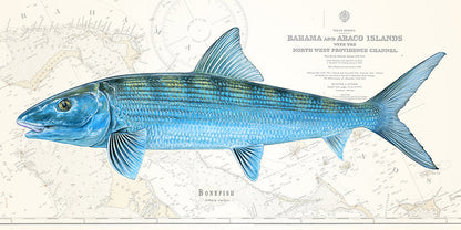 Bonefish