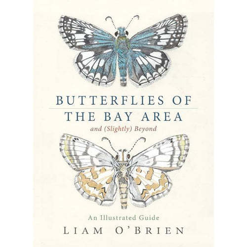 Butterflies of the Bay Area (and Slightly Beyond) by Liam O'Brien