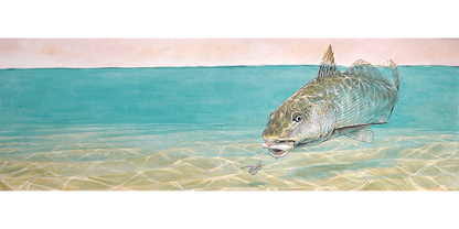 Corbina surface tension