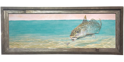 Corbina surface tension