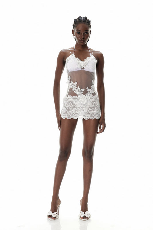 Crescens Mesh Lace Mini Dress
