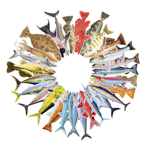 Custom Sticker Pack