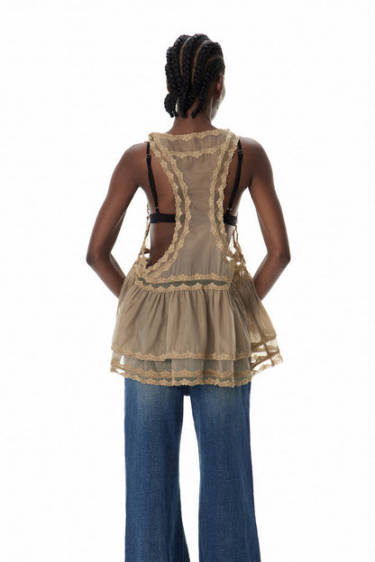 Cyneburg Lace Mesh Mini Dress
