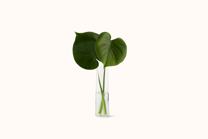 DEBORAH EHRLICH ORCHID BUD VASE