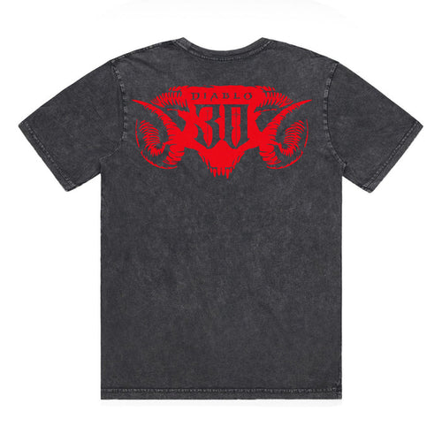 Diablo 30th Anniversary Grey T-Shirt - Back View