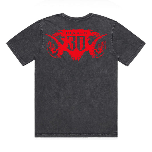 Diablo 30th Anniversary Grey T-Shirt - Back View
