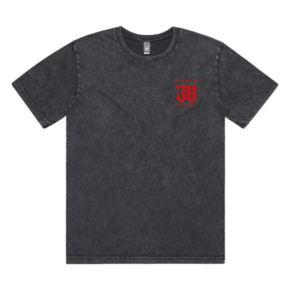 Diablo 30th Anniversary Grey T-Shirt - Front View