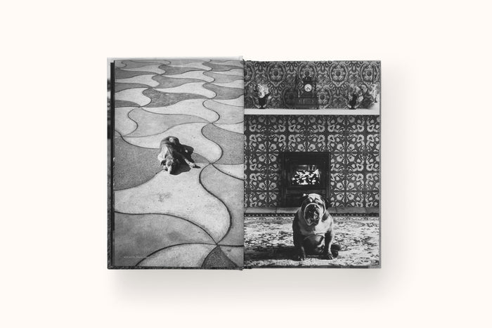 DOGSDOGS BY ELLIOTT ERWHITT