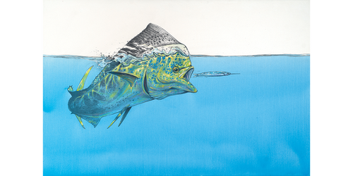 Dorado surface tension
