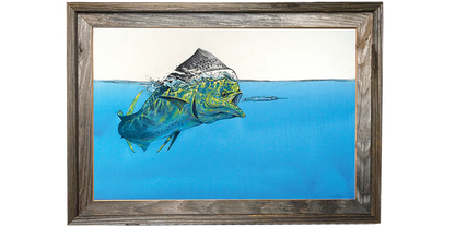 Dorado surface tension