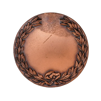 Israeli Defence Force (IDF) Paratrooper Commemorative Coin - Israeli Army Surplus - Flags, Badges & Insignia