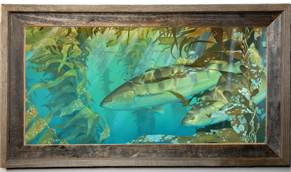 Kelp Room Seabass