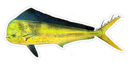 Mini Dorado Stickers (Pack of 5)