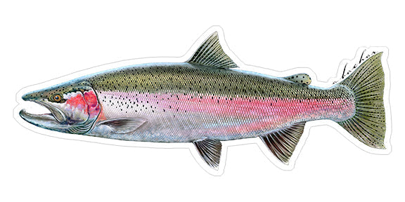 Mini Steelhead Stickers (Pack of 5)