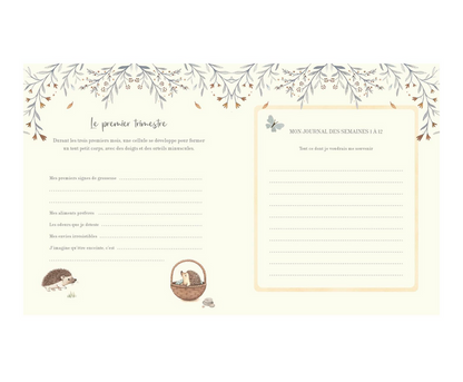 Mon journal de grossesse