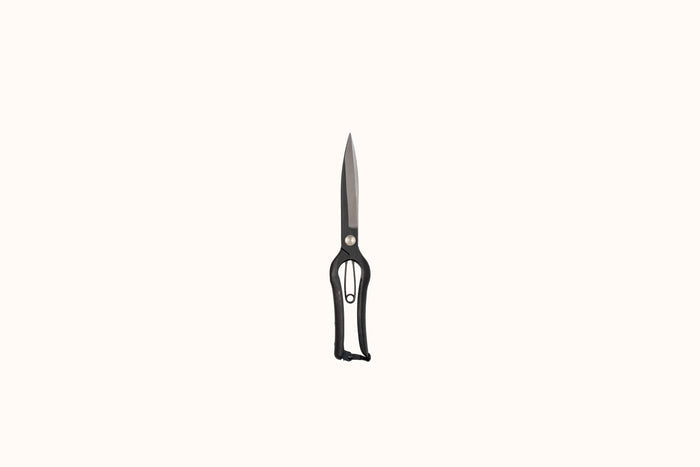 NIWAKI SENTEI TOPIARY CLIPPERS