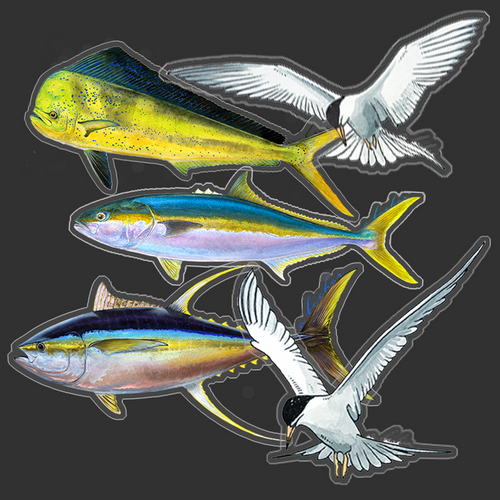 Paddy sticker combo pack (SP)
