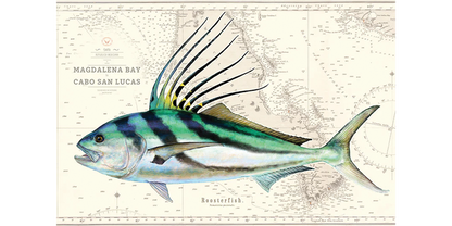 Roosterfish