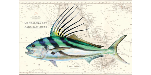 Roosterfish