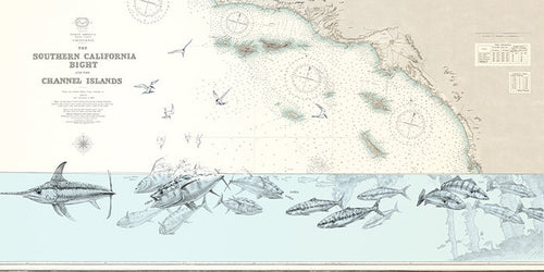 So-Cal Bight offshore surface tension