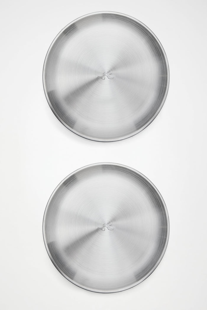 RAINS Stainless Steel 2-Pack Plates Steel Plates