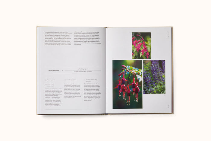 THE SEASONAL GARDENER: CREATIVE PLANTING COMBINATIONS BY ANNA PAVORD