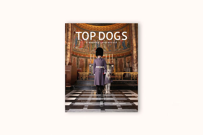 TOP DOGS BY GEORGINA MONTAGU