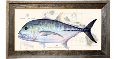 Ulua
